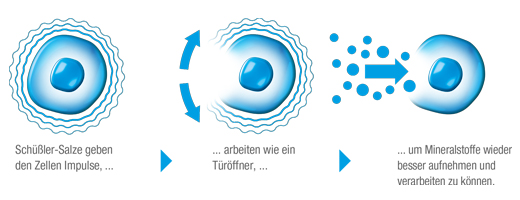 BIOCHEMIE DHU 3 Ferrum phosphoricum D 12 tabletti, 420 tk