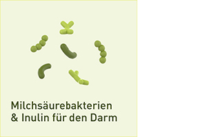 NUPURE probaflor Probiotics for Intestinal Restoration Kps, 60 tk