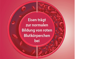 EISEN DIREKT pluss C-vitamiin + foolhape + B12 pulber, 60 tk