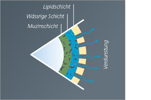 HYLOVIS lipo silmatilgad üheannuselised pipetid, 30X0,4 ml
