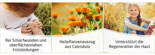 CALENDULA haavasalv, 25 g