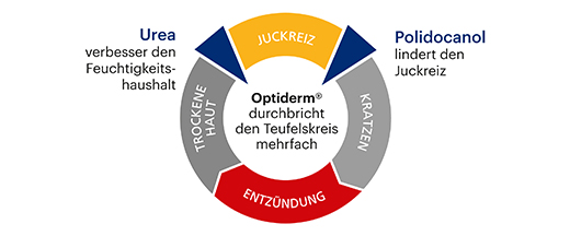 OPTIDERM Kreem, 100 g