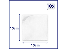 HANSAPLAST kompressid steriilsed 10x10 cm, 5X2 tk