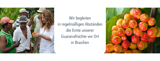 GUARANA BIO Puhas pulber, 100 g