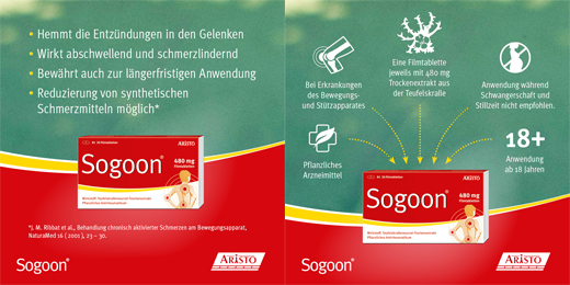 SOGOON 480 mg õhukese polümeerikattega tabletid, 20 tk