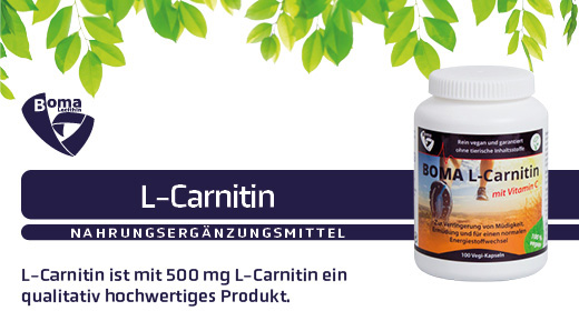 L-CARNITIN 500 kapslit, 100 tk