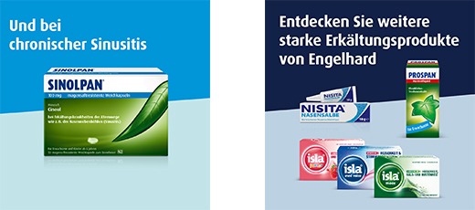 SINOLPAN forte 200 mg pehmed kapslid, 50 tk