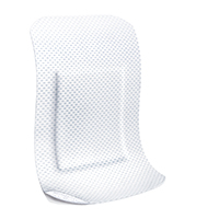 LEUKOPLAST pehme valge kipsiriba 38x72 mm, 10 tk