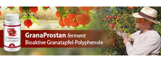 GRANAPROSTAN ferment Dr.Jacobi kapslid, 100 tk