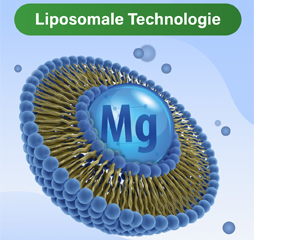 GLYCOWOHL vital liposomaalne magneesium kõrge annusega kapslid, 120 tk
