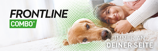 FRONTLINE Combo Spot on Dog L Lsg.for.application.to.to.skin, 3 tk