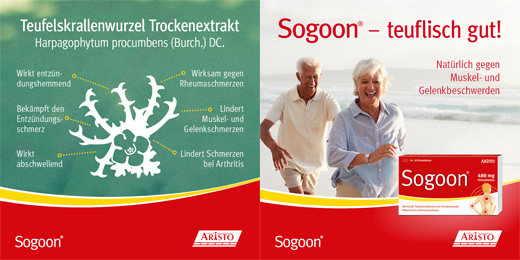 SOGOON 480 mg õhukese polümeerikattega tabletid, 20 tk