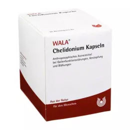 CHELIDONIUM CAPSULE, 90 tk