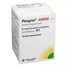 PANGROL 40.000 kõvakübarat, 50 tk