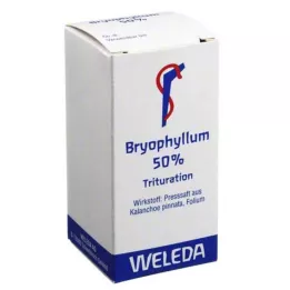 BRYOPHYLLUM 50% suukaudne pulber, 20 g