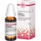 COLLINSONIA CANADENSIS D 3 Lahjendus, 20 ml