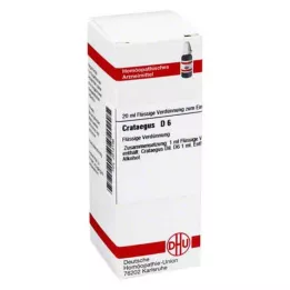 CRATAEGUS D 6 Lahjendus, 20 ml