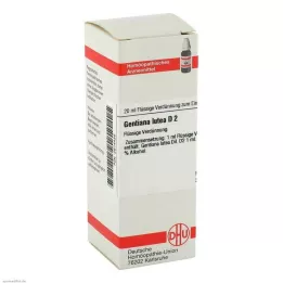 GENTIANA LUTEA D 2 Lahjendus, 20 ml