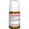 ARNICA D 10 tabletti, 80 tk