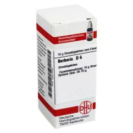 BERBERIS D 6 kapslit, 10 g