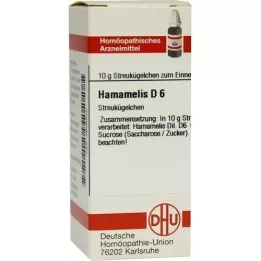 HAMAMELIS D 6 kapslit, 10 g