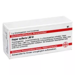 HEPAR SULFURIS LM VI Gloobulid, 5 g