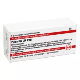 PULSATILLA LM XVIII Gloobulid, 5 g