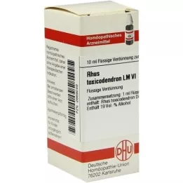 RHUS TOXICODENDRON LM VI Lahjendus, 10 ml