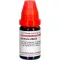 BERBERIS LM XXX Lahjendus, 10 ml