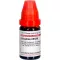 GRAPHITES LM XXX Lahjendus, 10 ml