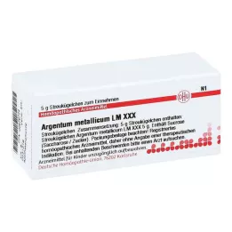 ARGENTUM METALLICUM LM XXX Gloobulid, 5 g