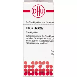 THUJA LM XXIV Gloobulid, 5 g