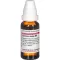 CURCUMA LONGA D 4 lahjendus, 20 ml