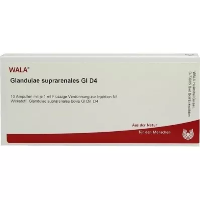 GLANDULAE SUPRARENALES GL D 4 ampulli, 10X1 ml
