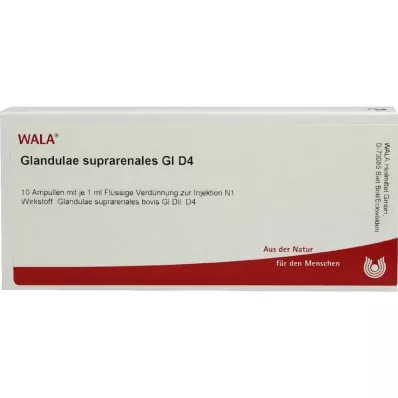 GLANDULAE SUPRARENALES GL D 4 ampulli, 10X1 ml