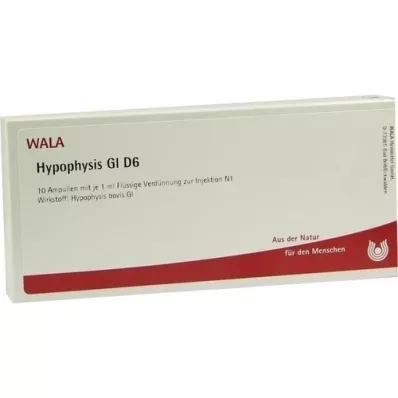 HYPOPHYSIS GL D 6 ampulli, 10X1 ml