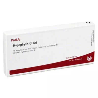 HYPOPHYSIS GL D 6 ampulli, 10X1 ml