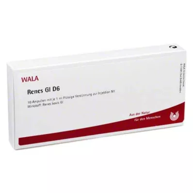 RENES GL D 6 ampulli, 10X1 ml