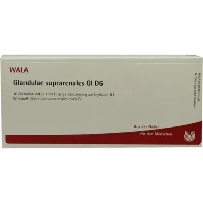 GLANDULAE SUPRARENALES GL D 6 ampulli, 10X1 ml