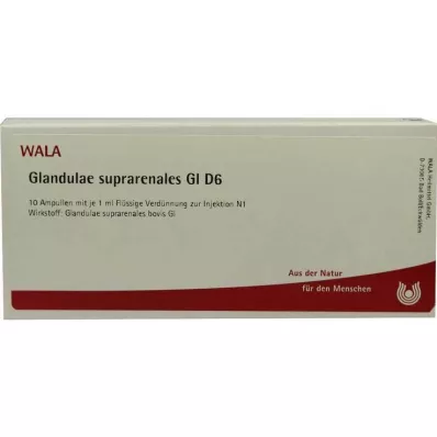 GLANDULAE SUPRARENALES GL D 6 ampulli, 10X1 ml