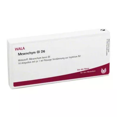 MESENCHYM GL D 6 ampulli, 10X1 ml