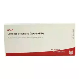 CARTILAGO articularis coxae GL D 6 ampulli, 10X1 ml