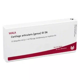 CARTILAGO articularis genus GL D 6 ampulli, 10X1 ml