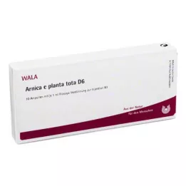 ARNICA E Planta tota D 6 ampulli, 10X1 ml