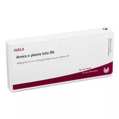 ARNICA E Planta tota D 6 ampulli, 10X1 ml