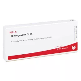 BINDEGEWEBE GL D 6 ampulli, 10X1 ml