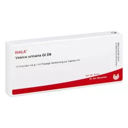 VESICA URINARIA GL D 6 ampulli, 10X1 ml