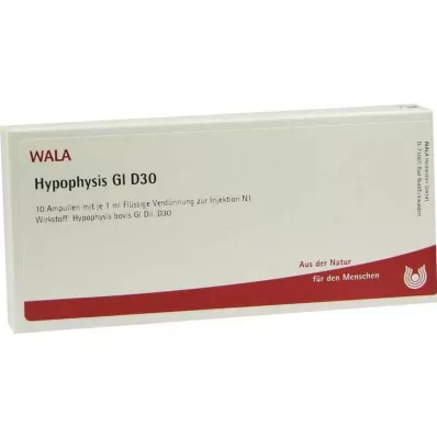 HYPOPHYSIS GL D 30 ampulli, 10X1 ml