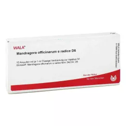 MANDRAGORA OFFICINARIUM e radice D 6 ampullid, 10X1 ml