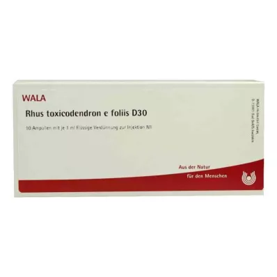 RHUS TOXICODENDRON E foliis D 30 ampulli, 10X1 ml
